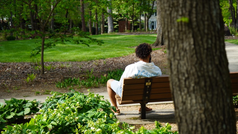 Man seen from behind sitting on a wooden park bench amid deep green spring foliage.